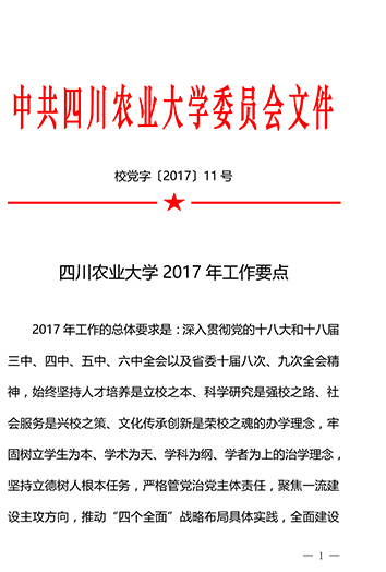 公司2017年工作要点